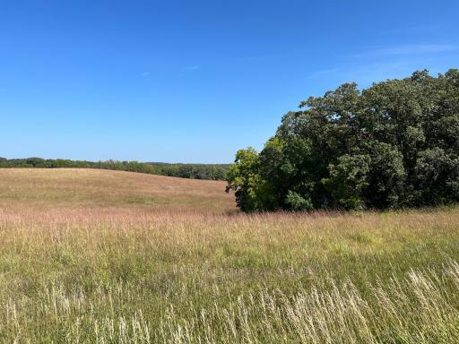 10937 County Road 15 SW, Kensington, MN 56343