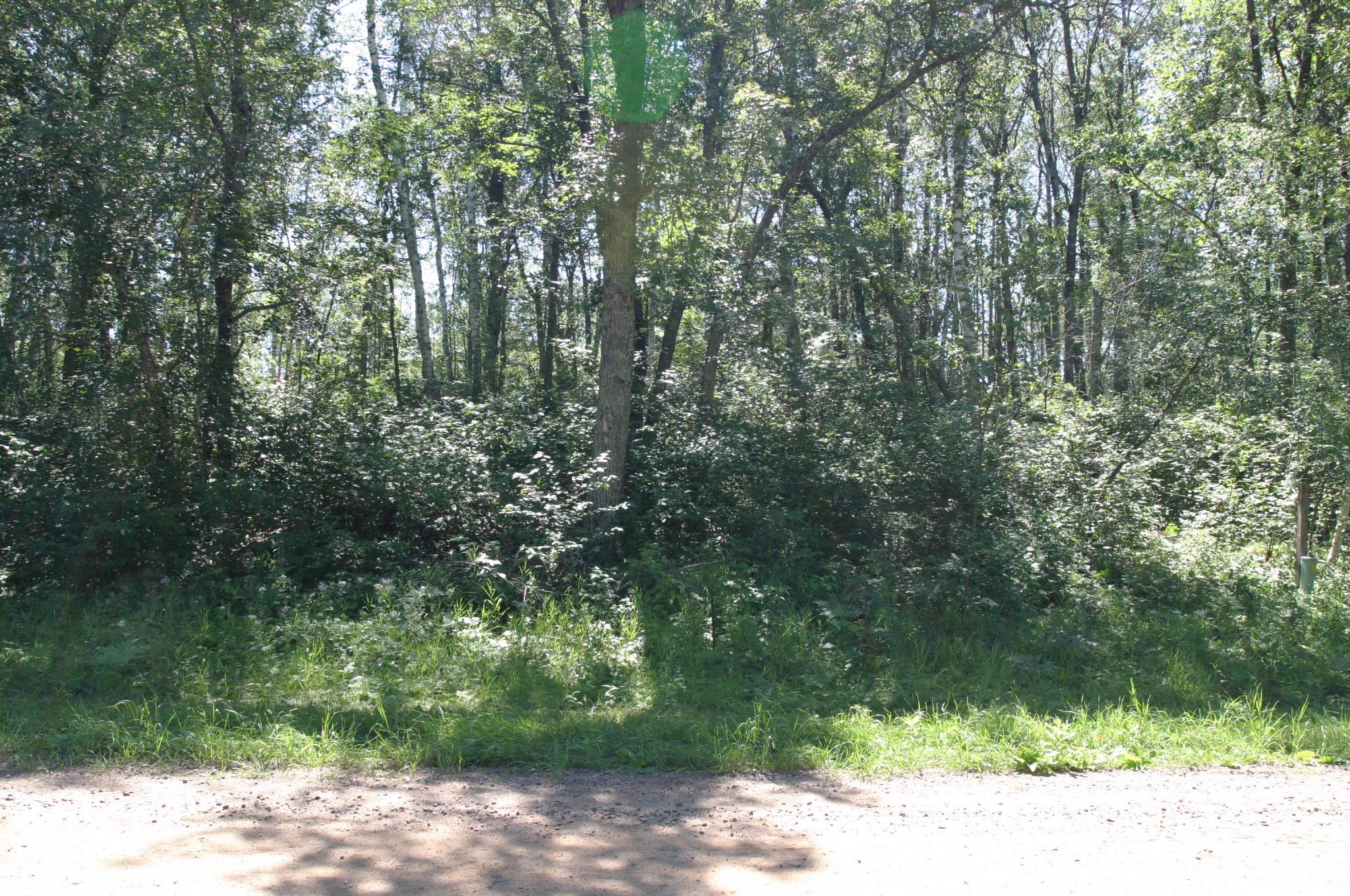 IMG_6317.JPG