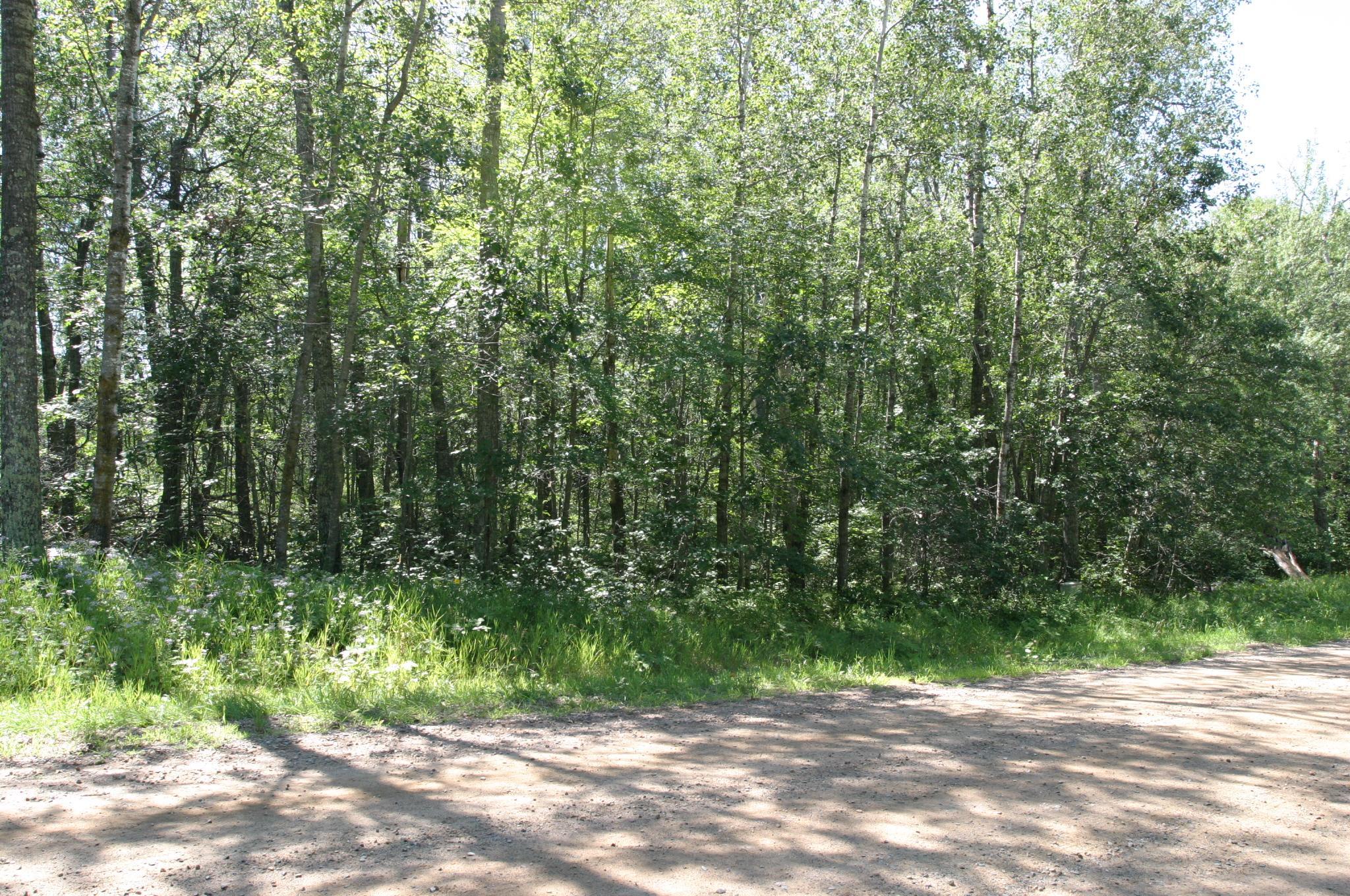 IMG_6312.JPG