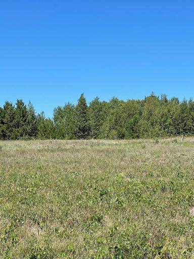 TBD County Road 36, Emily, MN 56447