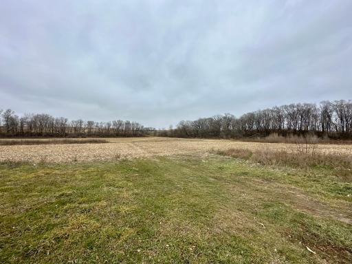 20021 206th Street, Wykoff, MN 55990