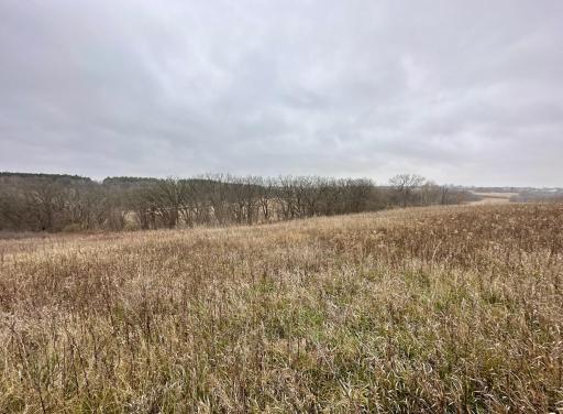 20021 206th Street, Wykoff, MN 55990