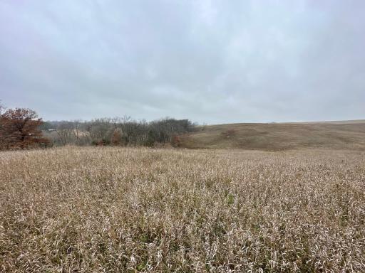 20021 206th Street, Wykoff, MN 55990