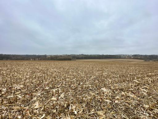 20021 206th Street, Wykoff, MN 55990