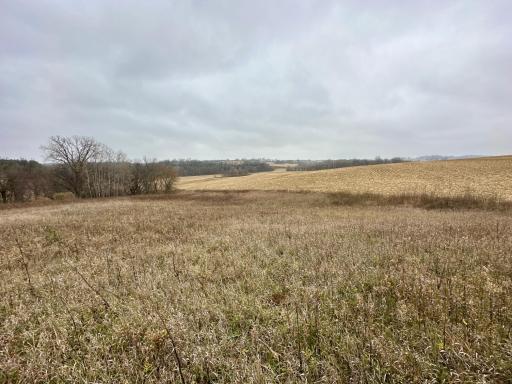 20021 206th Street, Wykoff, MN 55990