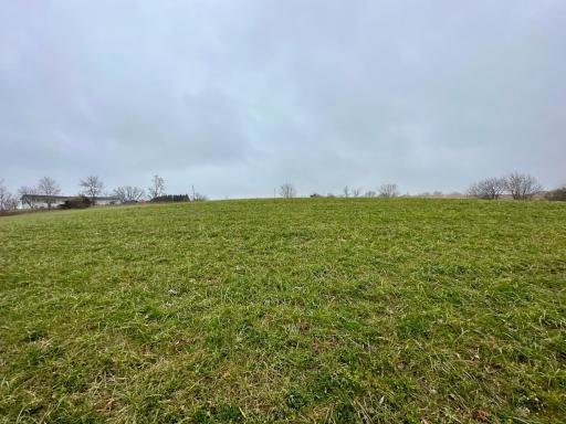 20021 206th Street, Wykoff, MN 55990