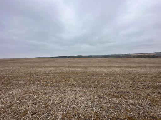 20021 206th Street, Wykoff, MN 55990