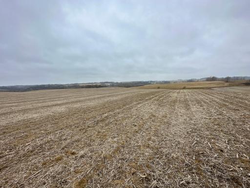 20021 206th Street, Wykoff, MN 55990