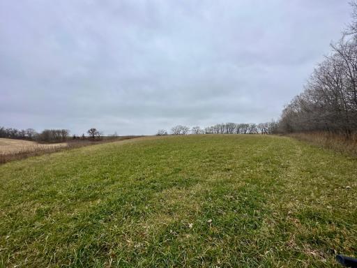20021 206th Street, Wykoff, MN 55990