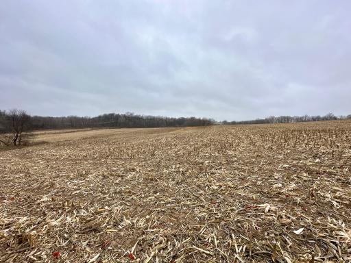 20021 206th Street, Wykoff, MN 55990