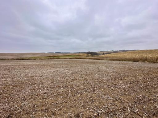 20021 206th Street, Wykoff, MN 55990