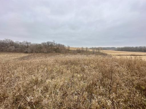 20021 206th Street, Wykoff, MN 55990