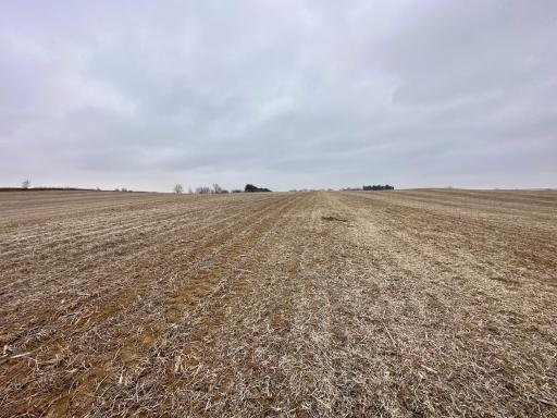 20021 206th Street, Wykoff, MN 55990