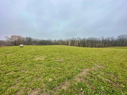 20021 206th Street, Wykoff, MN 55990