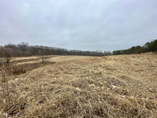 20021 206th Street, Wykoff, MN 55990