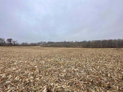 20021 206th Street, Wykoff, MN 55990