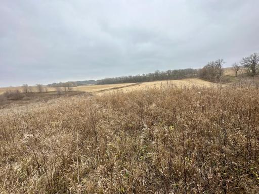 20021 206th Street, Wykoff, MN 55990