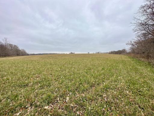 20021 206th Street, Wykoff, MN 55990