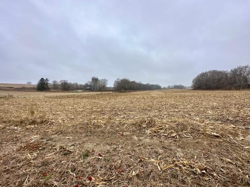 20021 206th Street, Wykoff, MN 55990