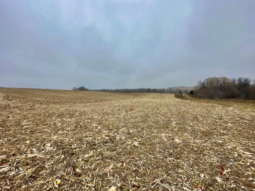 20021 206th Street, Wykoff, MN 55990