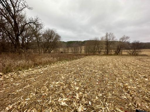 20021 206th Street, Wykoff, MN 55990