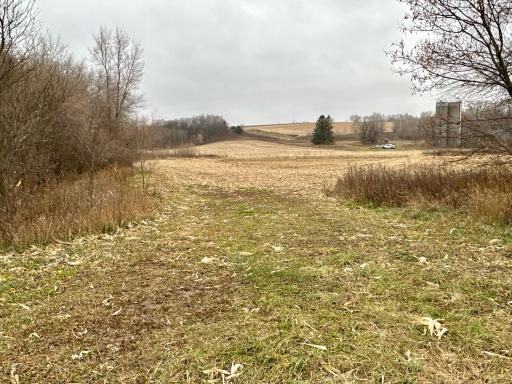 20021 206th Street, Wykoff, MN 55990