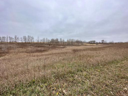 20021 206th Street, Wykoff, MN 55990