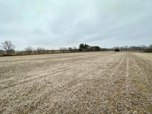 20021 206th Street, Wykoff, MN 55990