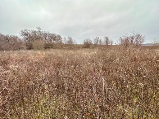 20021 206th Street, Wykoff, MN 55990