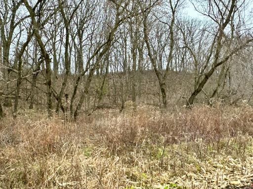 20021 206th Street, Wykoff, MN 55990
