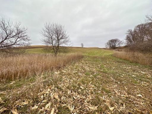 20021 206th Street, Wykoff, MN 55990