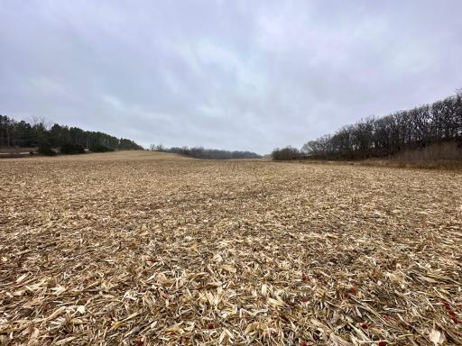 20021 206th Street, Wykoff, MN 55990
