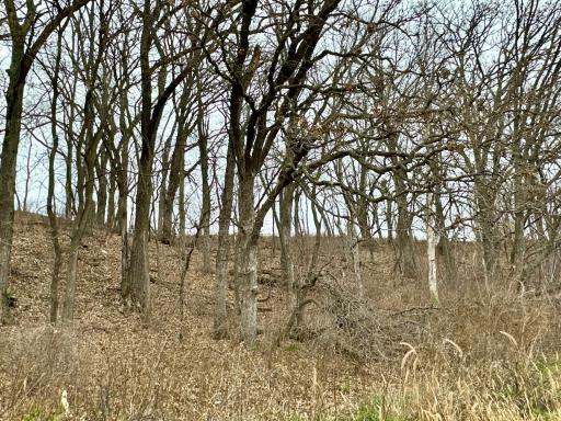 20021 206th Street, Wykoff, MN 55990