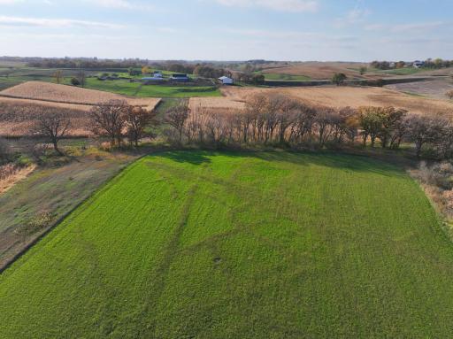 20021 206th Street, Wykoff, MN 55990