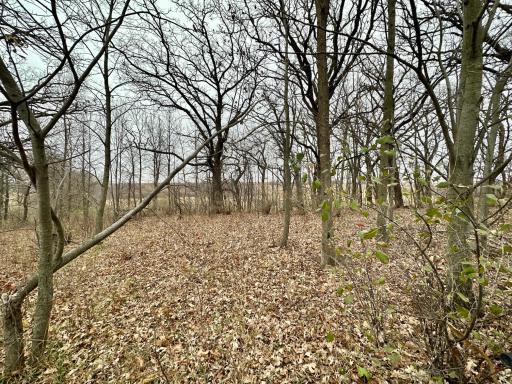 20021 206th Street, Wykoff, MN 55990