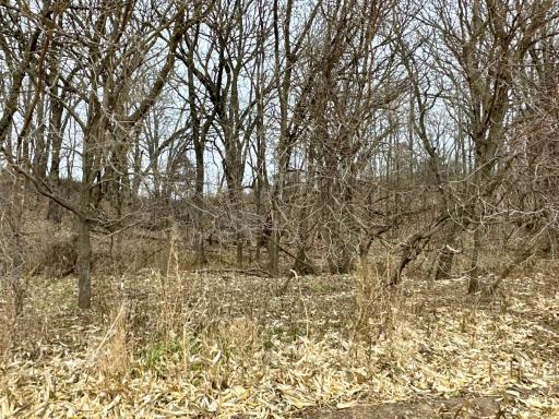 20021 206th Street, Wykoff, MN 55990