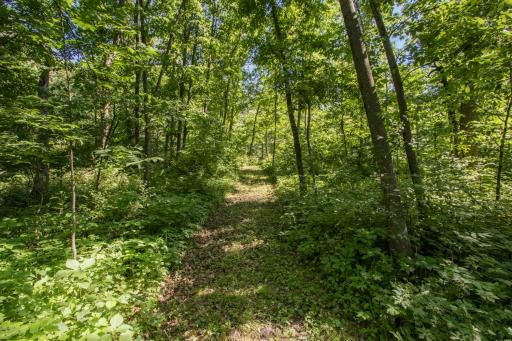 20967 212th Street, Preston, MN 55965