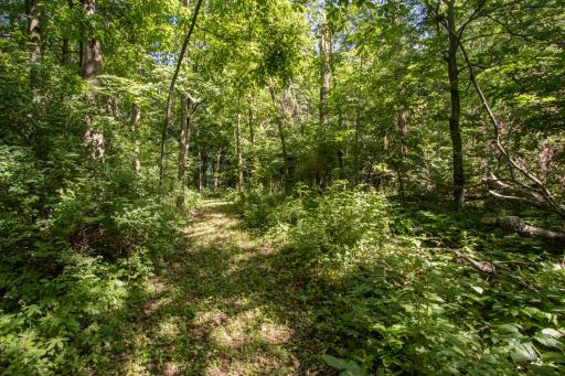 20967 212th Street, Preston, MN 55965