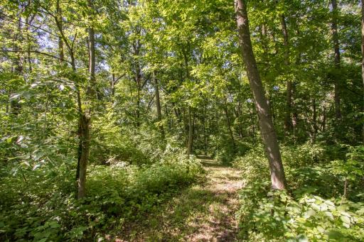 20967 212th Street, Preston, MN 55965