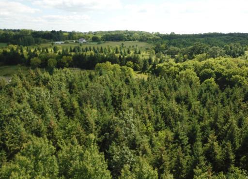 Photo for XXX Lot 7, 30th Avenue, Amery, WI 54001 - Listing #6251290 XXX Lot 7, 30th Avenue, Amery, WI 54001