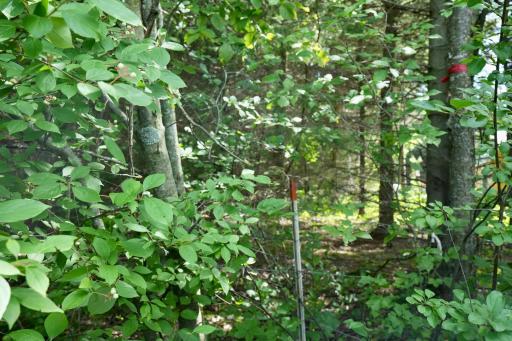 Photo for XXX Lot 7, 30th Avenue, Amery, WI 54001 - Listing #6251290 XXX Lot 7, 30th Avenue, Amery, WI 54001