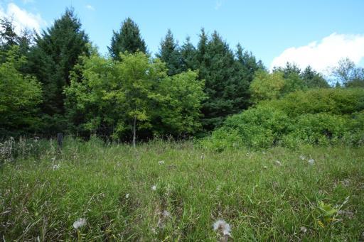 Photo for XXX Lot 7, 30th Avenue, Amery, WI 54001 - Listing #6251290 XXX Lot 7, 30th Avenue, Amery, WI 54001