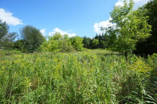 Photo for XXX Lot 7, 30th Avenue, Amery, WI 54001 - Listing #6251290 XXX Lot 7, 30th Avenue, Amery, WI 54001