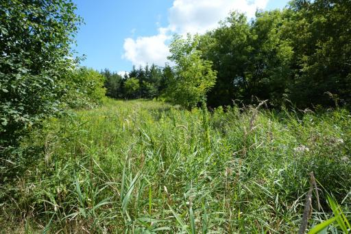 Photo for XXX Lot 7, 30th Avenue, Amery, WI 54001 - Listing #6251290 XXX Lot 7, 30th Avenue, Amery, WI 54001