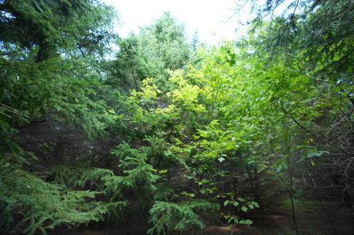 Photo for XXX Lot 7, 30th Avenue, Amery, WI 54001 - Listing #6251290 XXX Lot 7, 30th Avenue, Amery, WI 54001