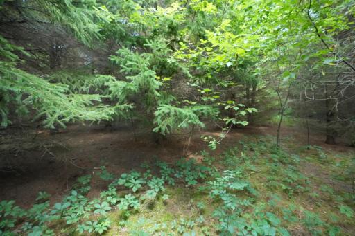 Photo for XXX Lot 7, 30th Avenue, Amery, WI 54001 - Listing #6251290 XXX Lot 7, 30th Avenue, Amery, WI 54001