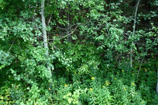 XXX Lot 7, 30th Avenue, Amery, WI 54001