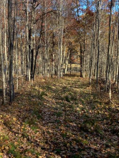XXX Melsvck Road, Spooner, WI 54801