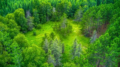 Partially Wooded.jpg