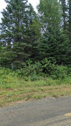 XXXX Old Hwy 61, Grand Portage, MN 55605
